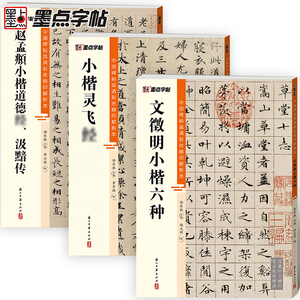 墨点灵飞经文徵明赵孟頫汲黯传
