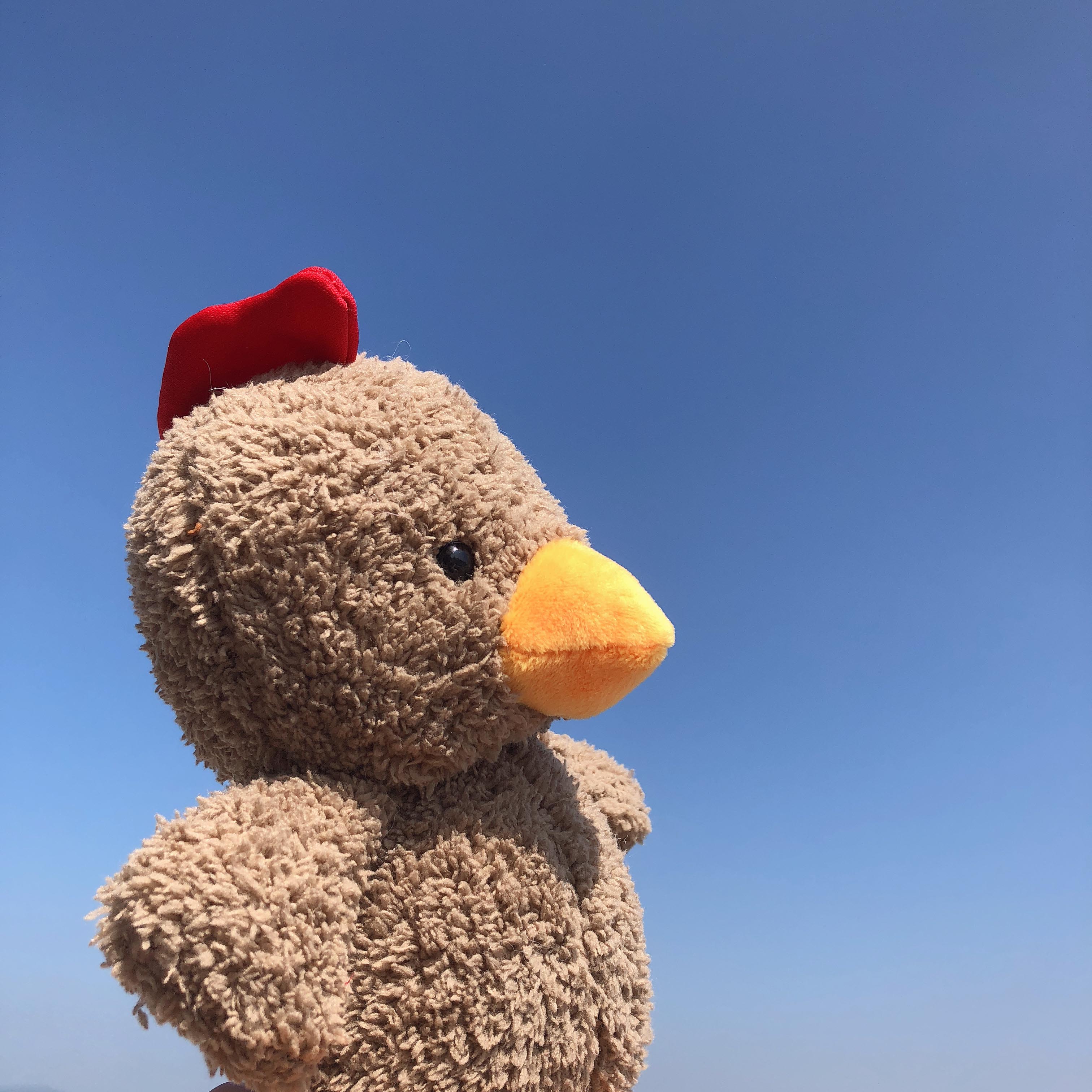 呆萌小鸡玩偶安抚陪睡抓机娃娃