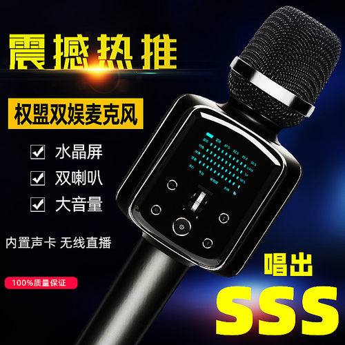 权盟户外无线蓝牙直播K歌麦克风