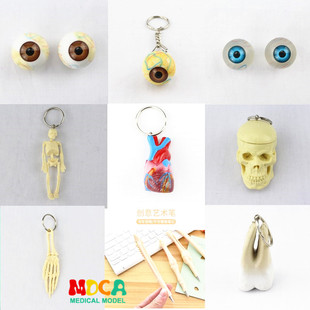 眼球骨架内脏钥匙扣笔饰品礼品挂件人体器官解剖医学教学玩具