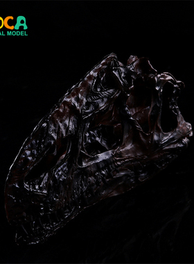 树脂恐龙头骨骷髅头冰脊龙头骨水族馆鱼缸创意摆件KLGT020