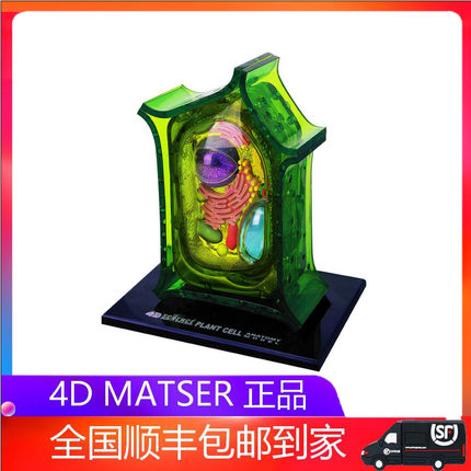 4D MASTER植物细胞模型生物器官解剖教学DIY科普用具益智拼装玩具
