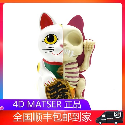4D Master招财猫存钱罐摆件Jason Freeny透视骨骼解剖模型礼物