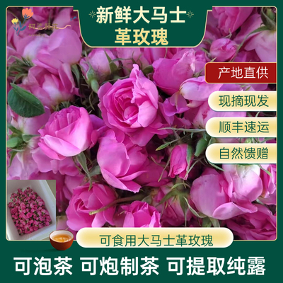 大马士革玫瑰鲜花现摘现发提取当面验收花有问题拒收重补顺丰到付