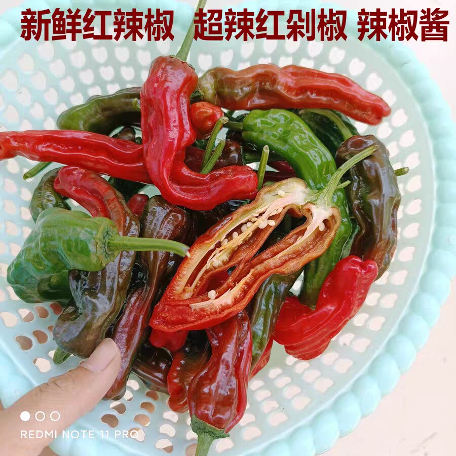 现摘新鲜红辣椒特辣皱皮椒农家土辣椒