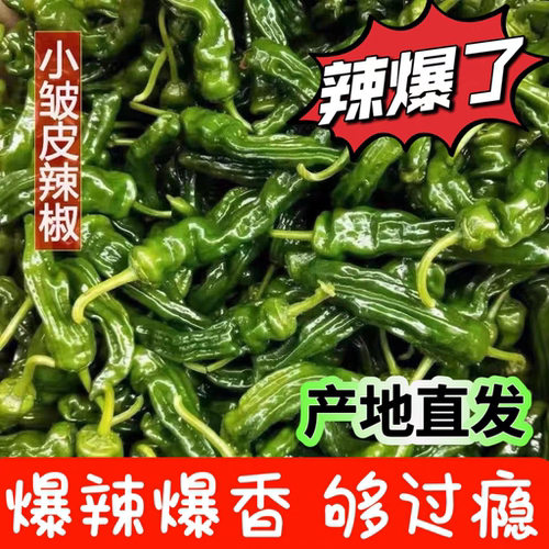 特辣青辣椒新鲜现摘薄皮超辣小皱皮辣椒农家蔬菜青红辣椒剁椒酱