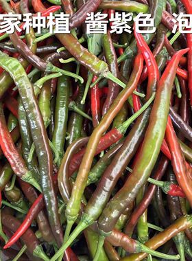 农家蔬菜新鲜现摘二荆条乌红线椒紫辣椒酱紫色线椒泡酸辣椒剁椒酱