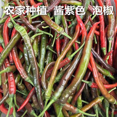 新鲜二荆条乌红线椒酱紫色泡椒