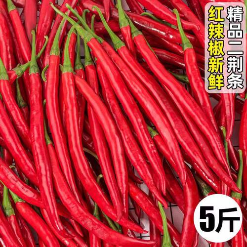 农家蔬菜新鲜红辣椒尖椒红线椒中辣杭椒现摘可做剁椒酱泡椒海椒