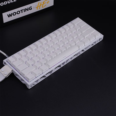 WOOTING 60HEV2满改-白镂空-白侧刻