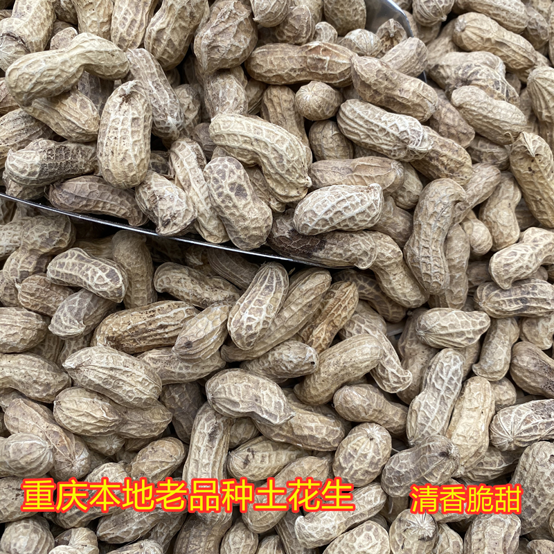 重庆农家自种土花生带壳晒干