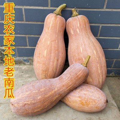 重庆本地老南瓜农家长南瓜露天种植当季新鲜甜糯产地直发