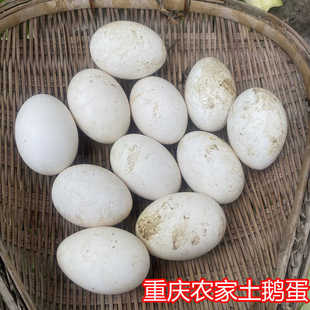 农家土鹅蛋新鲜粮食蛋散养鹅蛋大鹅蛋现捡6枚装