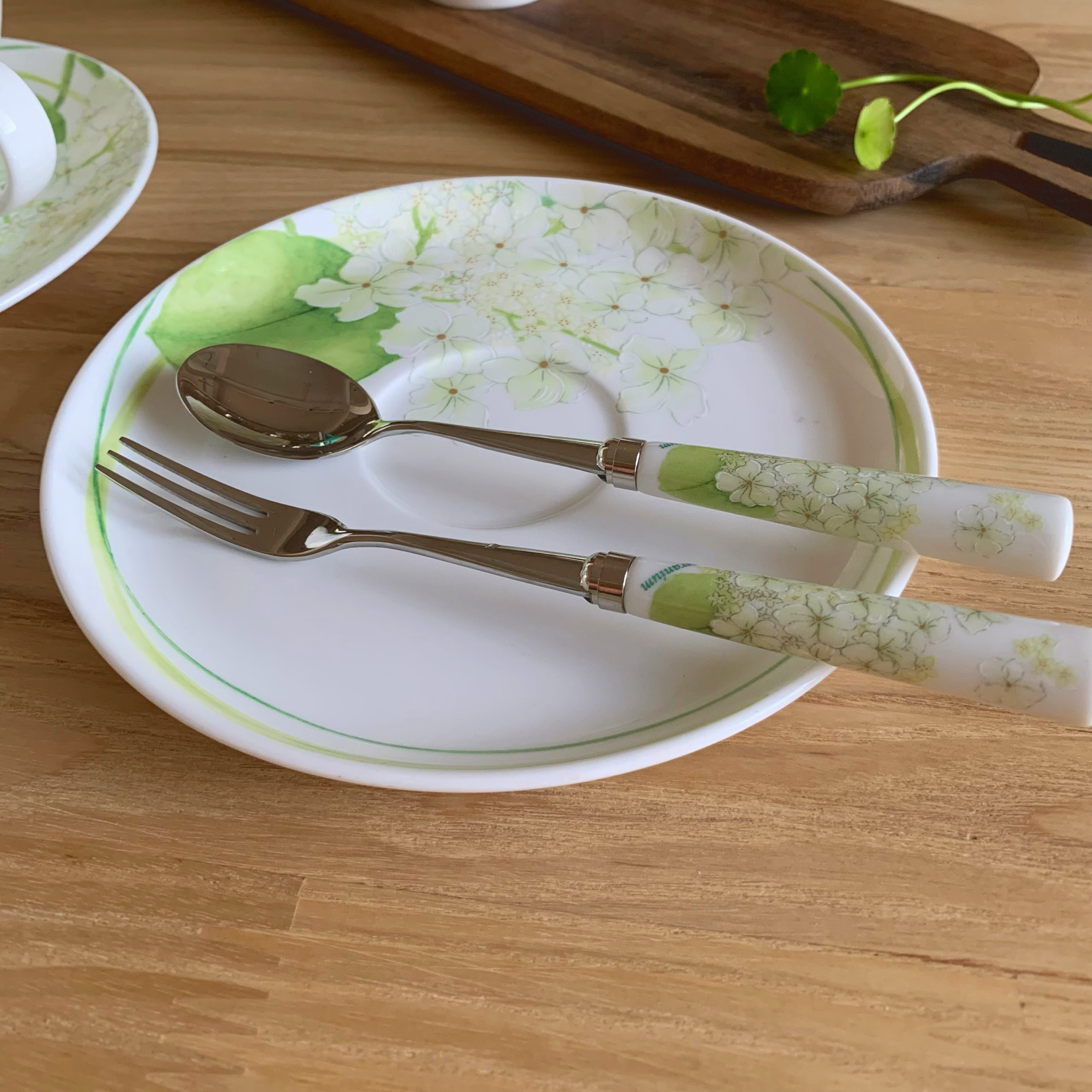 韩国原装进口hankook天竺葵