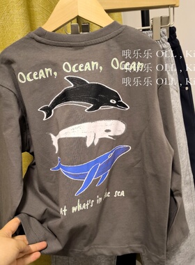 OLL 2026春季新款男孩高级灰海洋纯棉长袖T恤中大童圆领上衣宽松6