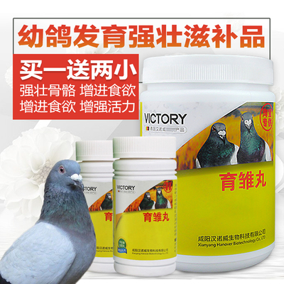 汉诺威鸽药大全育雏丸信鸽用品药品幼鸽丸育雏宝乳鸽鸟调理鸽子药