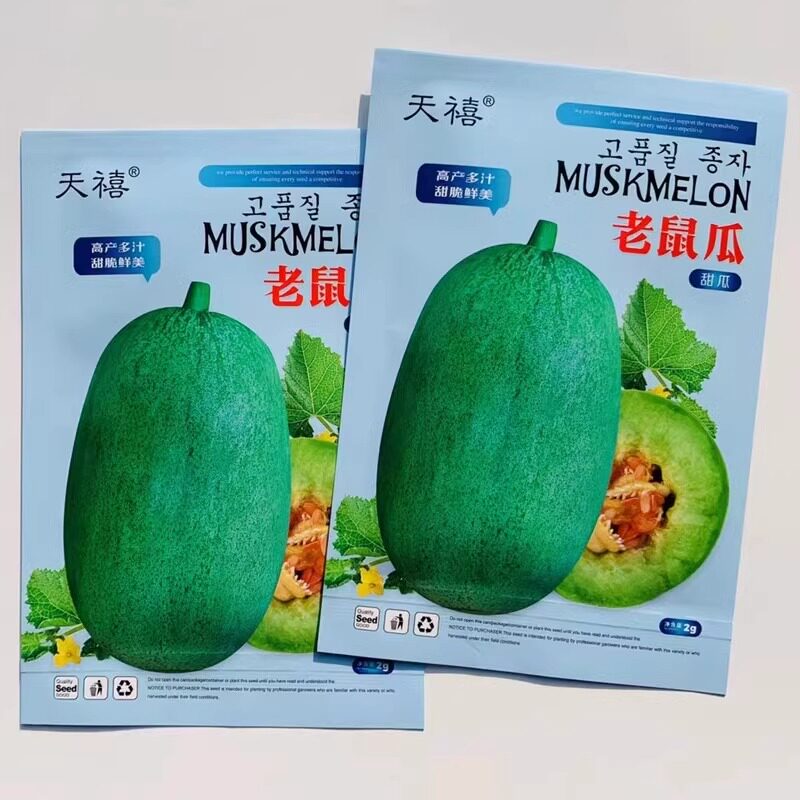老鼠瓜种子椭圆肉厚味甜汁
