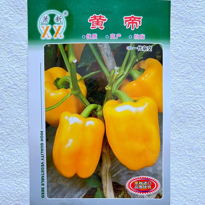 种子蔬菜小丽的铺子甜椒夏秋季