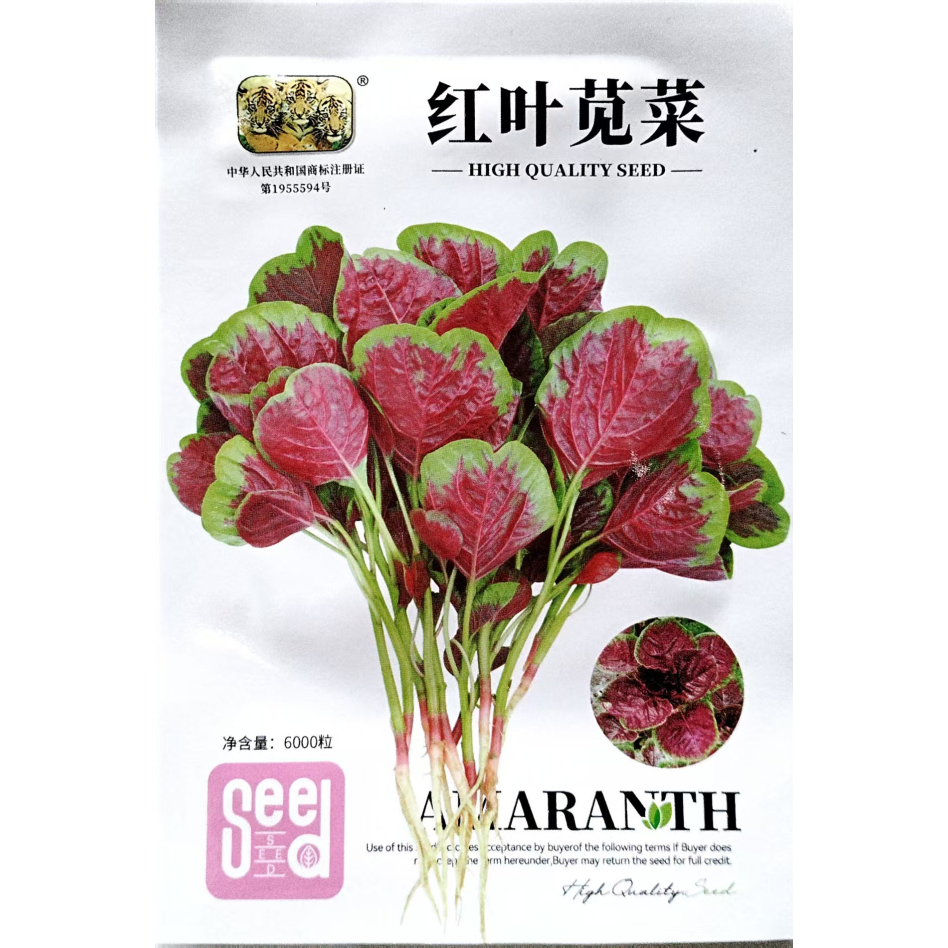 大圆叶红苋菜种子改良港种种籽大田种植蔬菜四季播盆栽老品种孑
