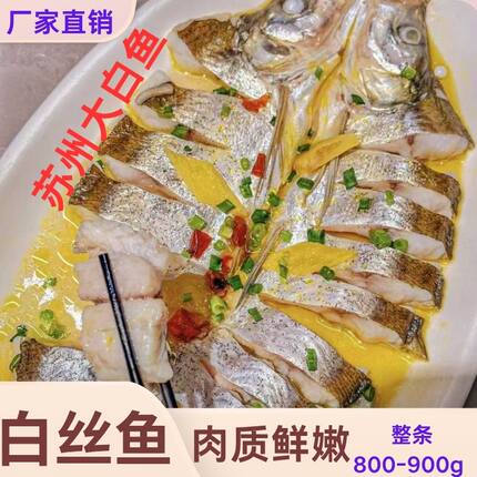 大白鱼白丝鱼约800g腌制白丝鱼翘嘴鱼大白刁整条白条鱼半成品商用