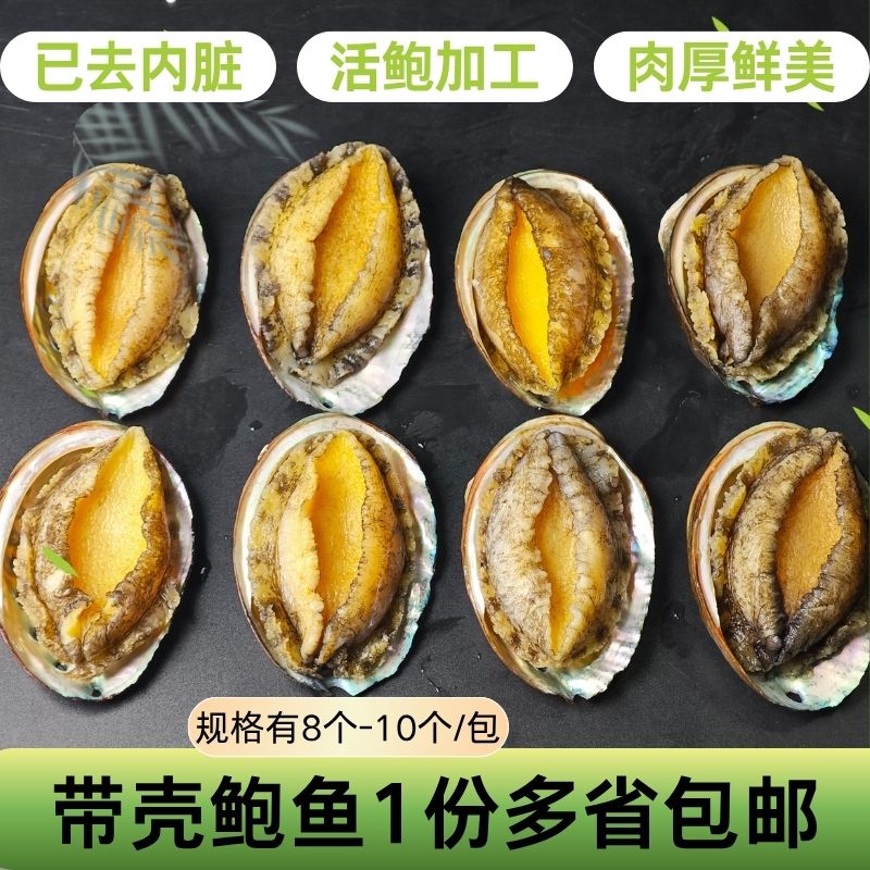 鲍鱼肉带壳商用带壳去内脏