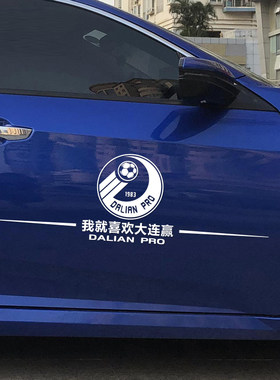 汽车贴纸反光球大连后挡贴