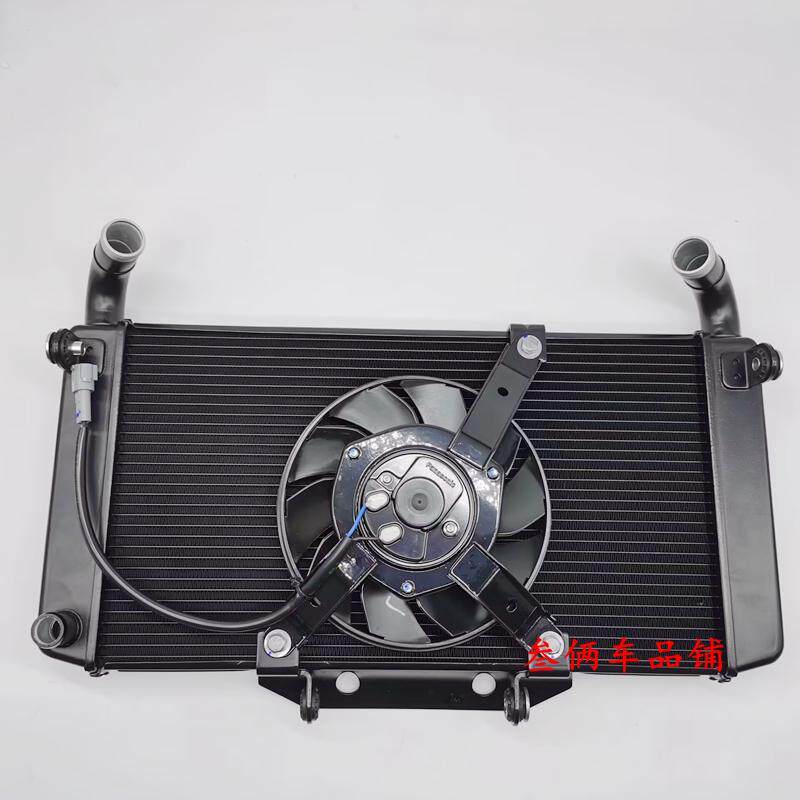 适用摩托车隆鑫LX650GS-A无极RR660S原装散热器总成 冷却水箱