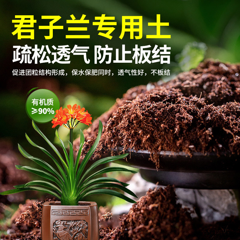 君子兰专用营养土养花通用型土壤家用多肉兰花土泥炭土种植土花土