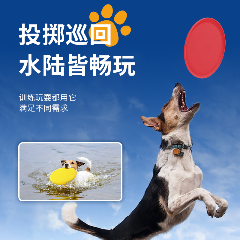 AFTERAUTUMN飛盤訓練玩具