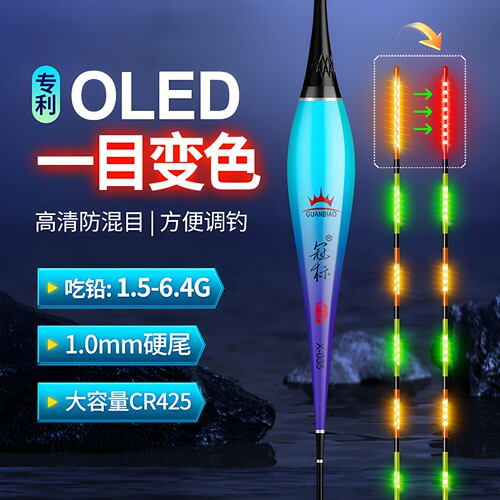 一目变色夜光漂OLED双排灯珠