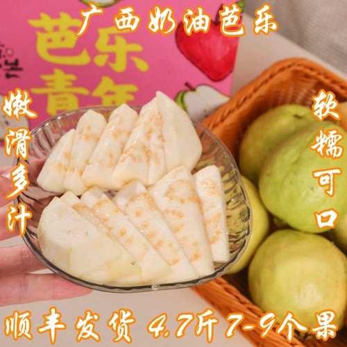 顺丰正宗广西白心奶油芭乐果应季番石榴包邮4.7-5.5斤12个内礼盒