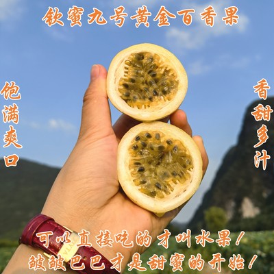 广西钦蜜九号黄金百香果一级大果黄皮鸡蛋果西番莲净5/3斤精品礼