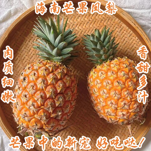 顺丰海南芒果手撕凤梨台农23号树上熟非金钻菠萝4.5-5斤彩箱礼盒