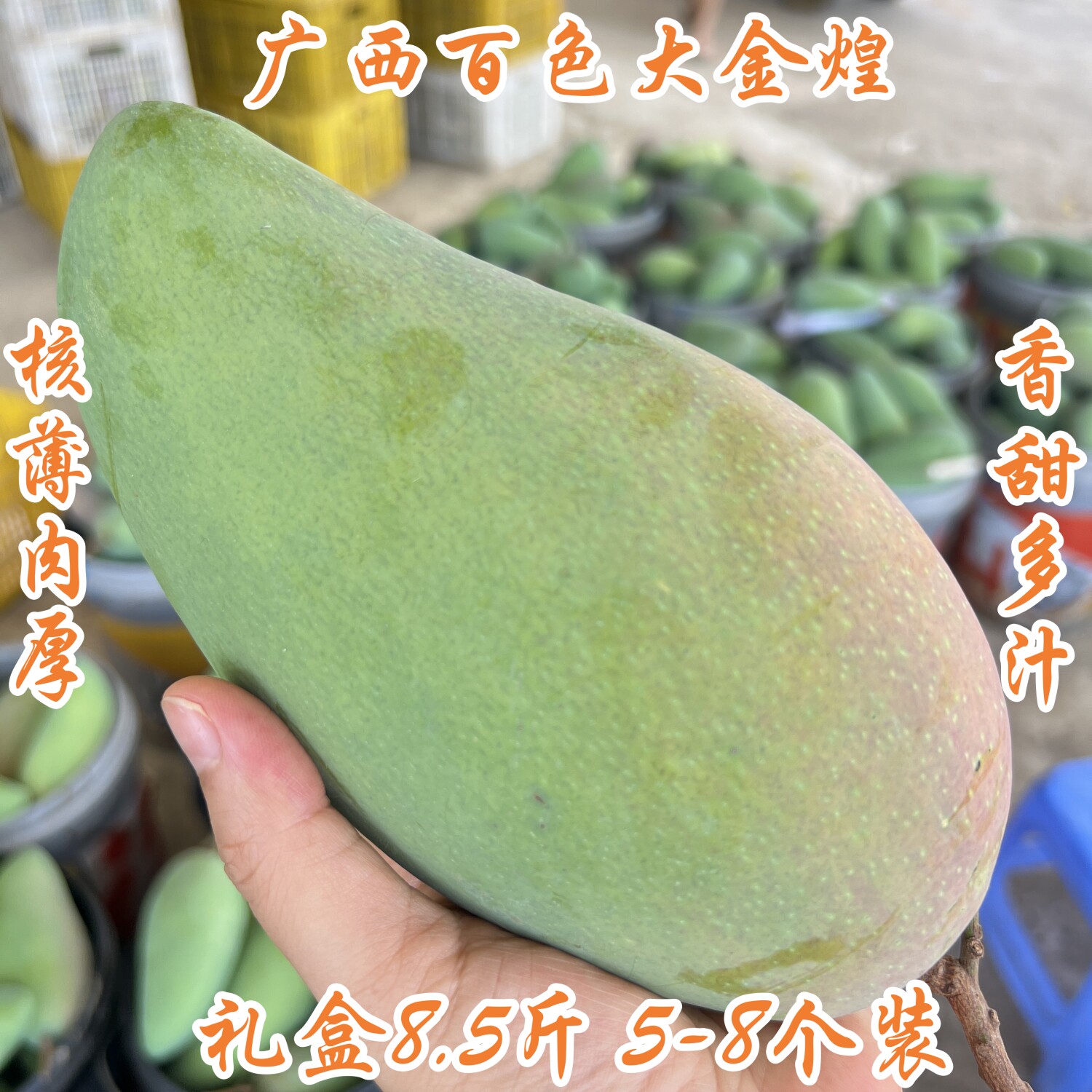 广西百色青皮大金煌芒甜心生吃芒果非黄皮水仙大青净果5斤礼盒8.5