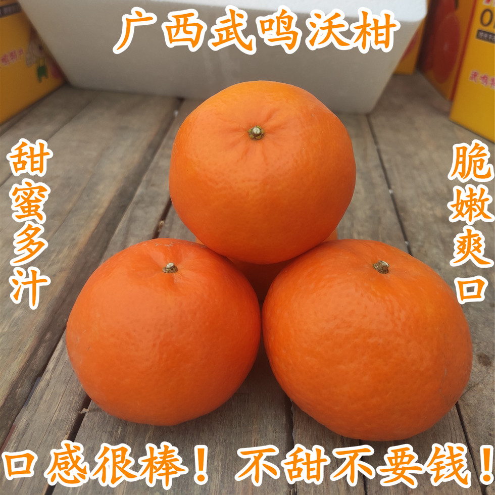 正宗广西武鸣沃柑应季新鲜大果多汁现摘净5斤9斤精品礼盒顺丰包邮,水产肉类/新鲜蔬果/熟食,桔子,淘宝优惠券,粉丝福利购,淘宝优惠卷