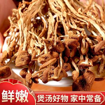 茶树菇干货特产不开伞新鲜农家