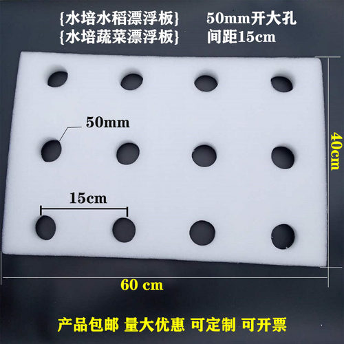 水稻浮板定植稻谷水培蔬菜漂浮板