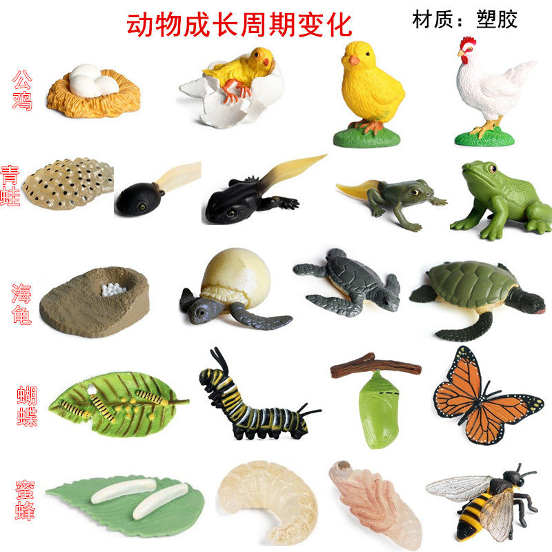 心理沙具沙盘游戏箱庭疗法玩具摆件植物公鸡海龟青蛙蝴蝶生长周期