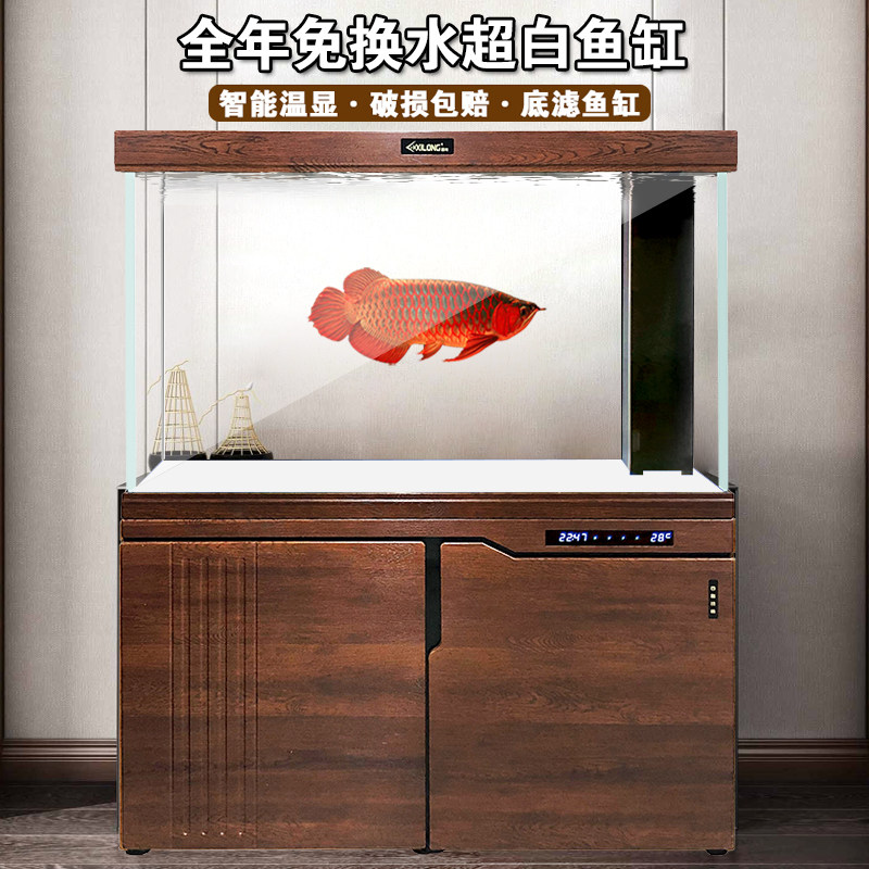 超白底滤鱼缸中大型客厅鱼缸生态龙鱼缸免换水水族箱招财风水鱼缸
