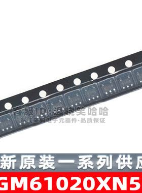SGM61020XN5G/TR 丝印RAA SOT23-5 全新原装 降压转换器 芯片