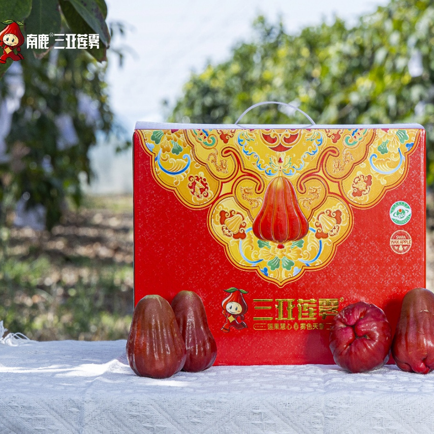 12月发南鹿一号有机莲雾实惠装3斤7~15枚水果花皮裂口不售后顺丰