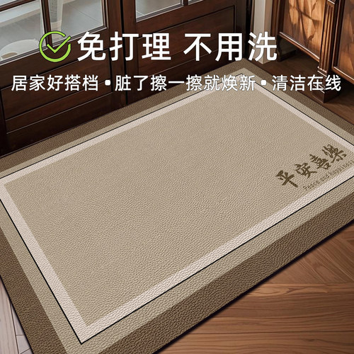 简约入户门地毯可擦免洗百搭