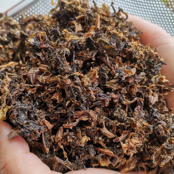 江西赣南安远农家自制新鲜梅干菜干货客家无沙梅菜干菜散装