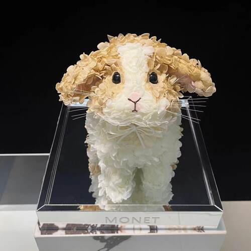 MONIER荷兰兔永生花动物宠物定制