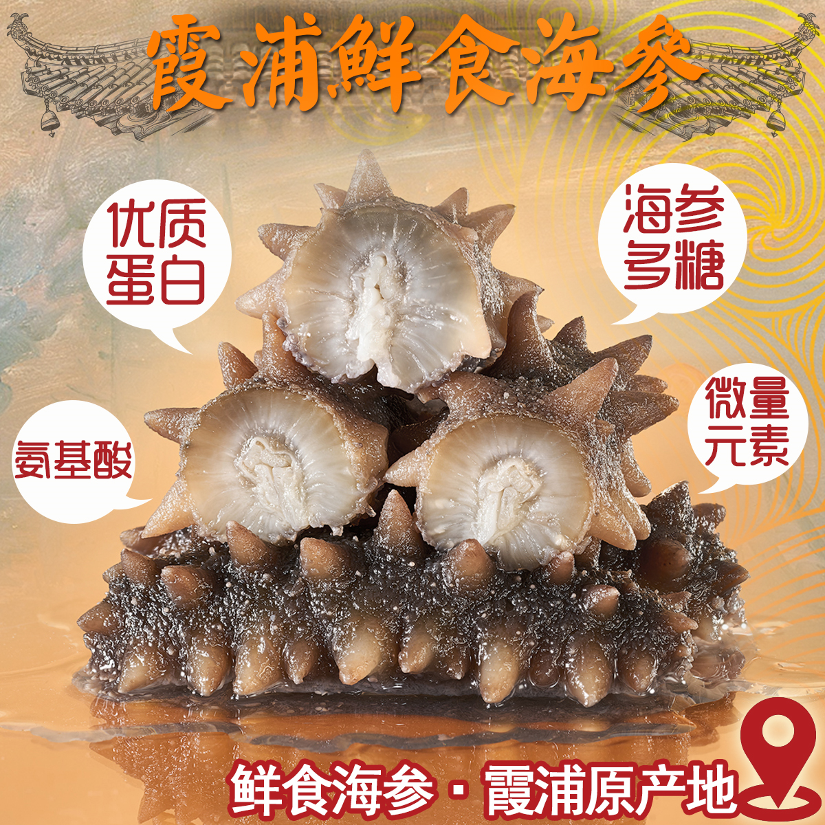 福建霞浦特产即食海参鲜食海参刺参特产干货海鲜独立真空包装