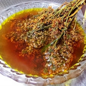 野生密蒙花植物染饭花 黄米饭染料花五色米饭花黄香花明目护眼茶