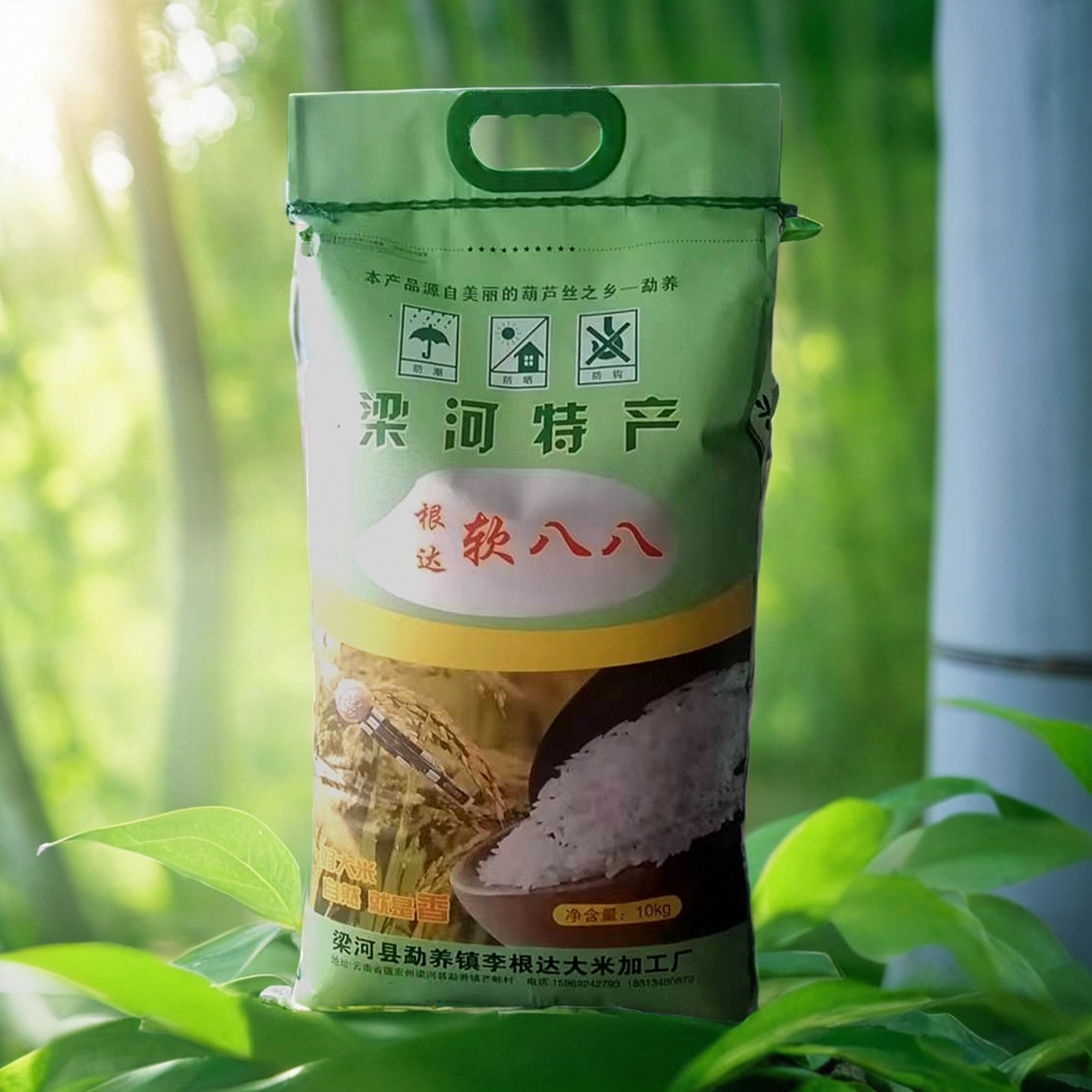 大米云南特产云南大米