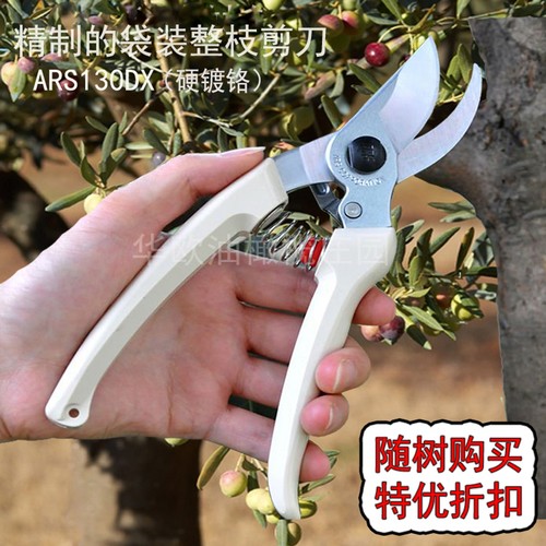 园艺剪刀ARS130DX果树整枝修枝剪