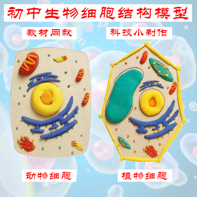 初中生物作业动植物真核细胞模型材料包高中手工diy动物植物全套