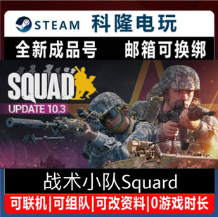 steam平台游戏 战术小队 Squard 全新成品号 可改绑自动发货